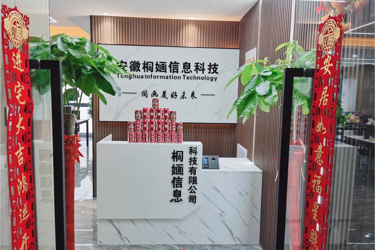 安徽桐婳信息科技 以创新驱动，赋能信息咨询新生态